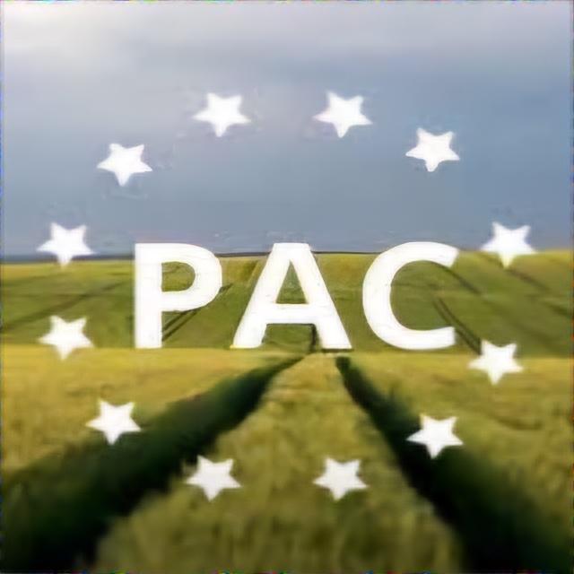 Feudalismo socialista agrícola europeo episode artwork